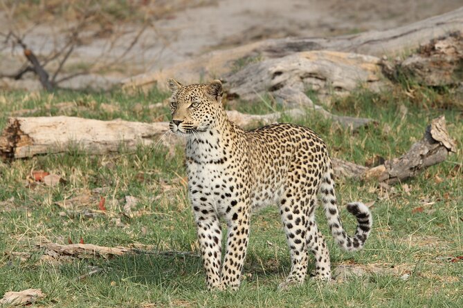 11 Days and 10 Nights Private Northern Explorer Tour