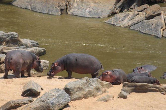12-DAY Kenya and Tanzania Budget Private Safari From Nairobi