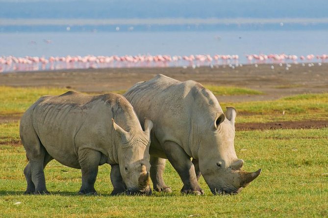 12 Days Kenya and Tanzania Safari Private Lodge From Nairobi