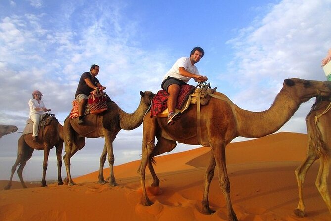 12 Days Private Luxury Sightseeing Tour in Morocco - Tour Highlights