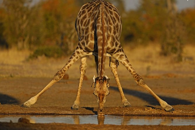 3 Best National Park Tours In Maun