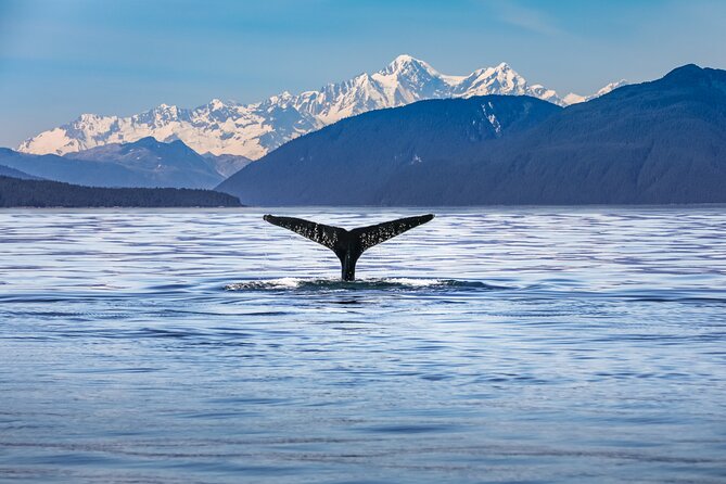 14 Day South Island Grand Adventure Tour (Small Group & Carbon Neutral)