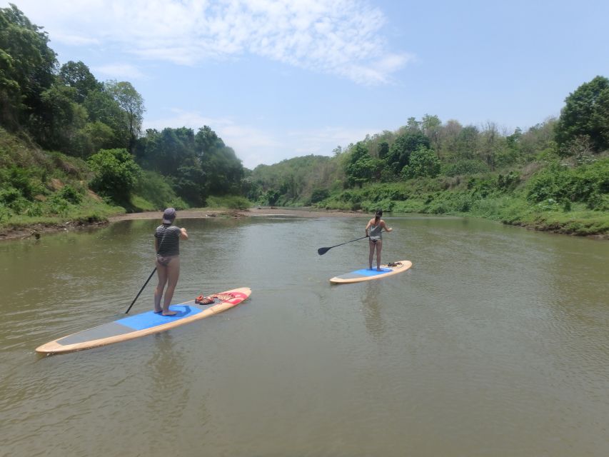 15 Km Stand up Paddle Boarding Down the Ping River Jungle - Activity Overview