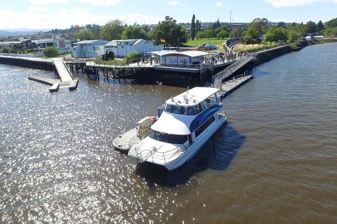 2.5 Hour Morning Discovery Cruise Including Sailing Into the Cataract Gorge
