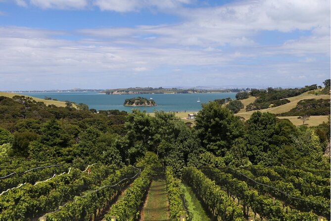 2.5 Hours Wine Tour in Waiheke Island for Cruise Ship Travelers - Tour Overview