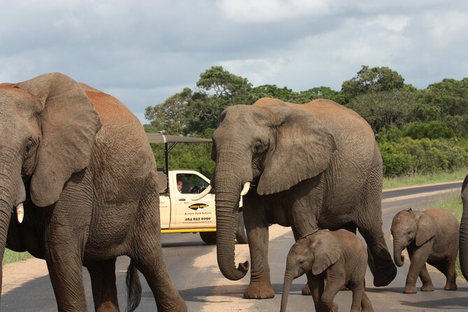 5 Best Tours In Mpumalanga