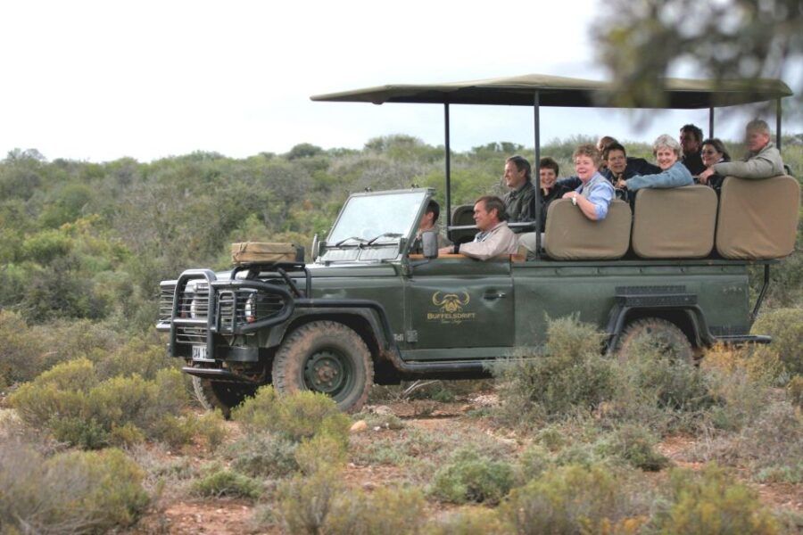 2 Day Small Group Cape Town: Garden Route Big 5 Safari Tour
