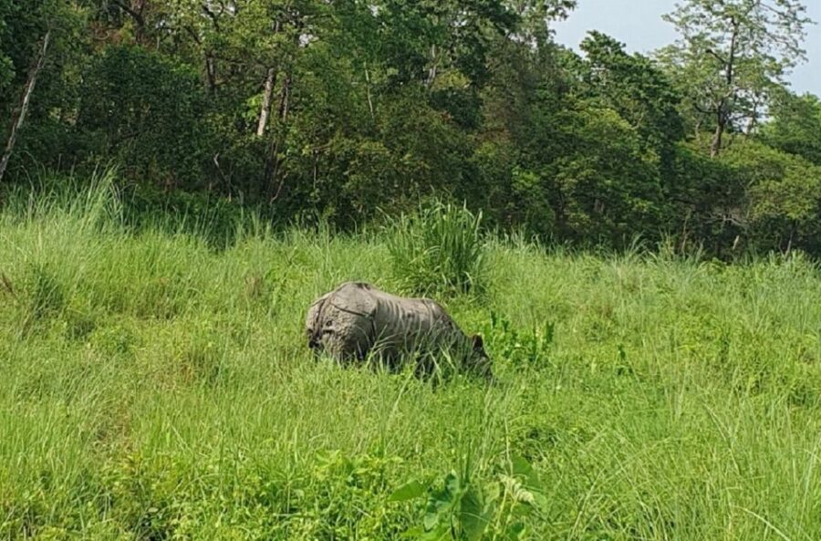 2 Day Tour in Chitwan - Tour Overview