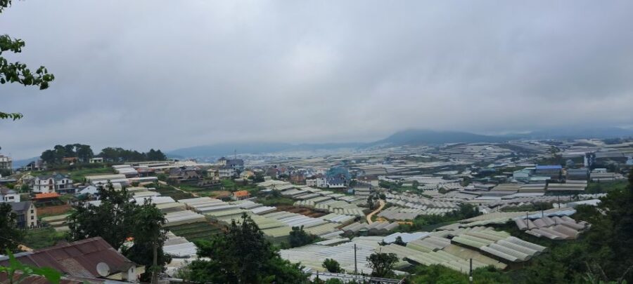 2-Day Trip – Phan Rang to Dalat – Dalat Countryside