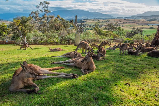 2 Day - Two of Tasmanias Best Tour