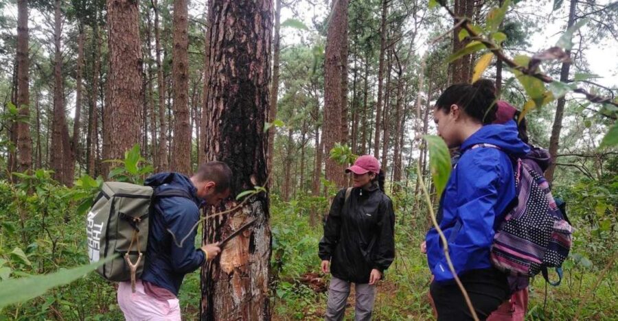 2 Days 1 Night Non Tourist Trek - Tour Overview