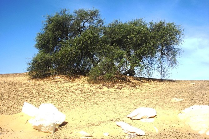 2 Days 1 Night White Desert From Cairo ( Private ) - Tour Description