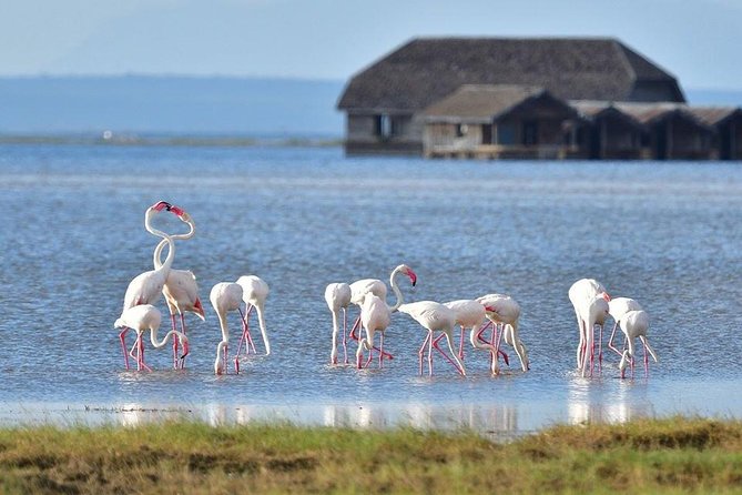 2 Days Amboseli Private Safari