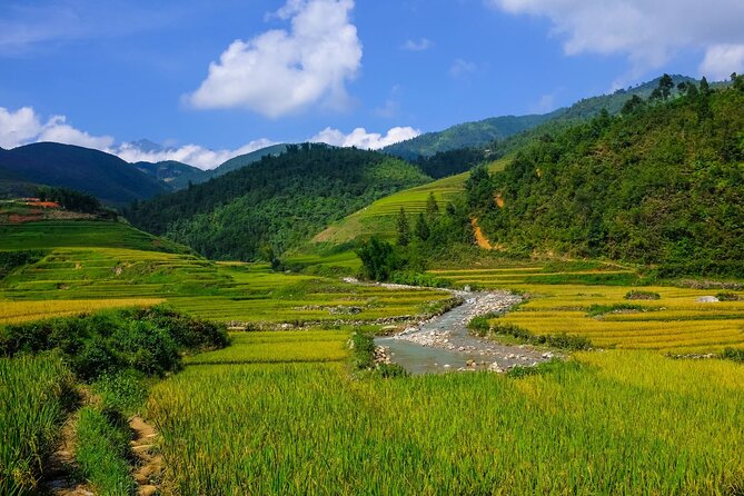 2 Days Authentic Trekking Tour in Sapa ( Homestay - Less Touristy )