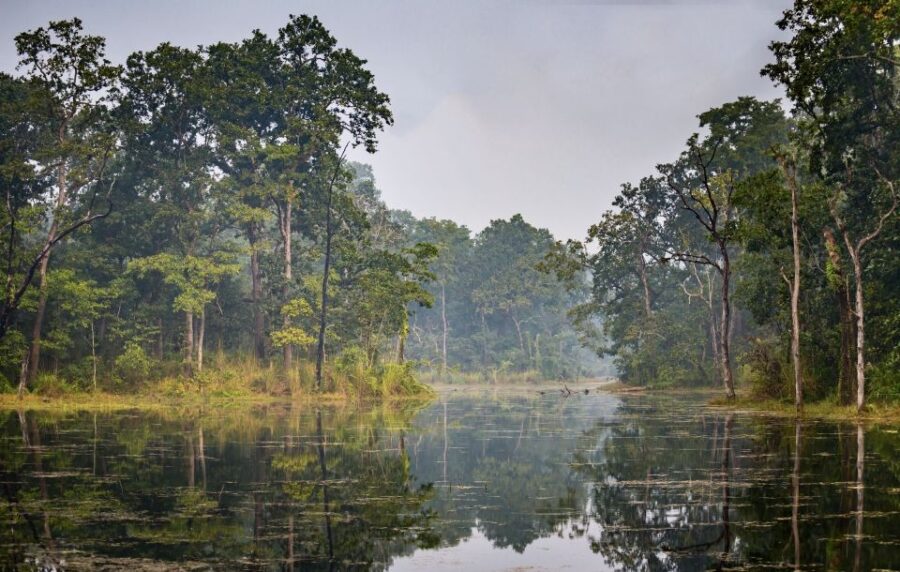 2 Days Chitwan Safari Tour - Tour Overview