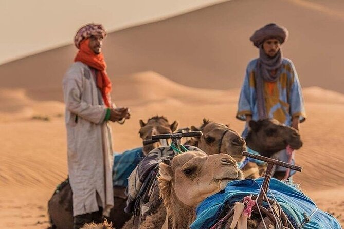 2 Days Luxury Tour to Merzouga Desert From Fez With Small Group
