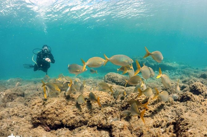 2 Dive Package for Qualified Divers in Gran Canaria