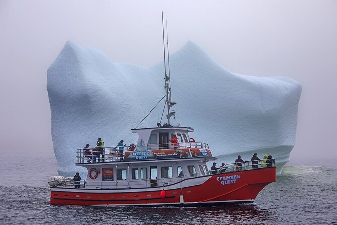 2 Best 2 Hour Tours and Experiences in Newfoundland and Labrador