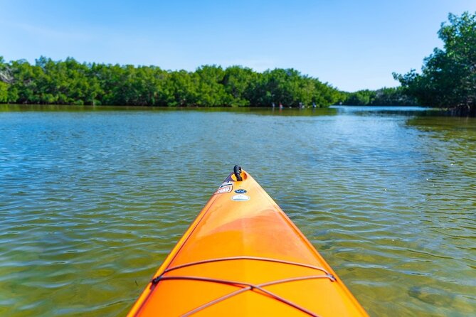 2 Hour Guided Kayak Tour in Boca Ciega Bay - St. Pete