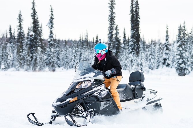 2-Hour Guided Snowmobile Tour in Fairbanks