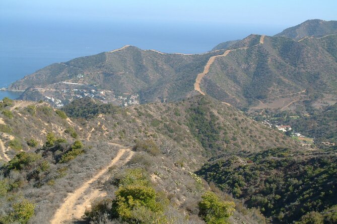 2 Hour Inside Adventure Tour on Catalina Island