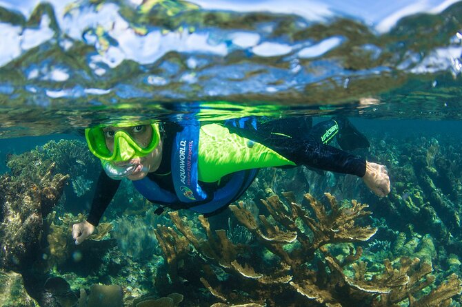 2-Hour Snorkeling Paradise Reef in Cancún Underwater Museum - Inclusions and Extras