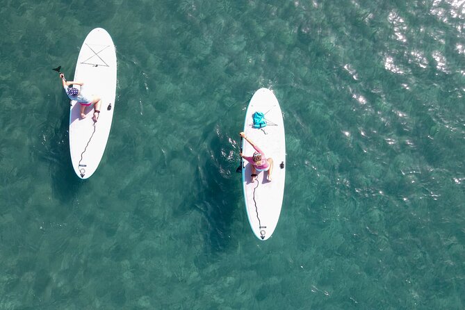 2 Hour Stand Up Paddle Lesson in Gran Canaria