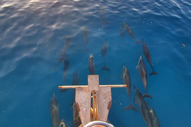 2-Hour Sunset Cruise in Honolulu - Cruise Details