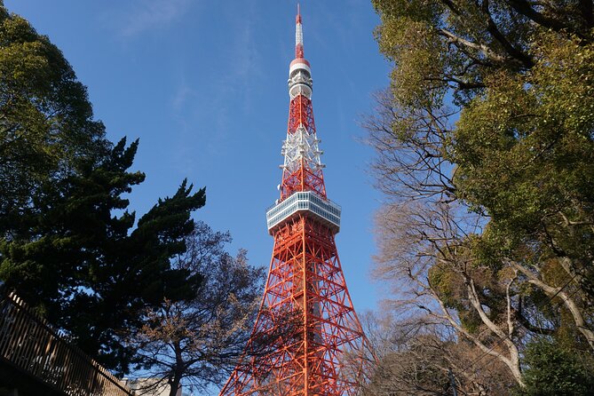 2 Hour Top 3 Hidden Tokyo Tower Photo Spots and Local Shrine Tour - Tour Overview