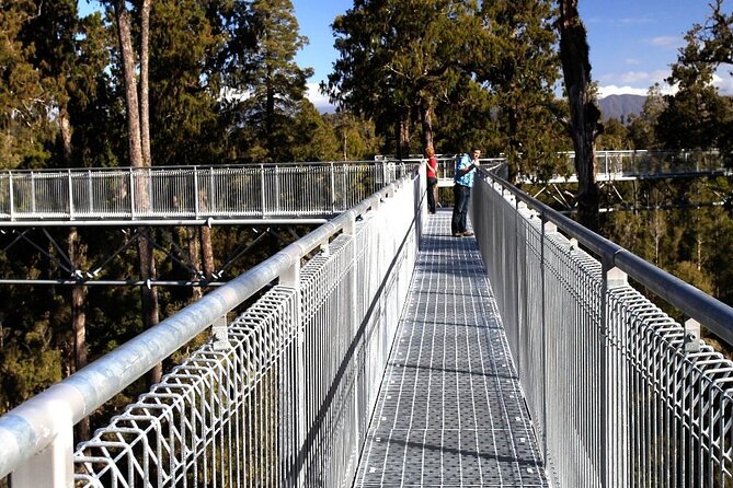 2-Hour Tower Zipline and Walkway Combo Private Guided Activity