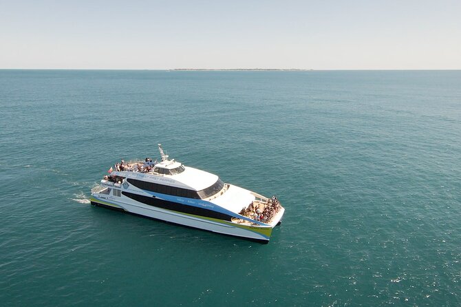 2 Hour Whale-Watching Cruise