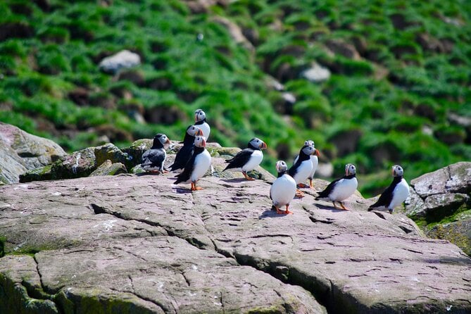 4 Best Guided Tours In St Johns