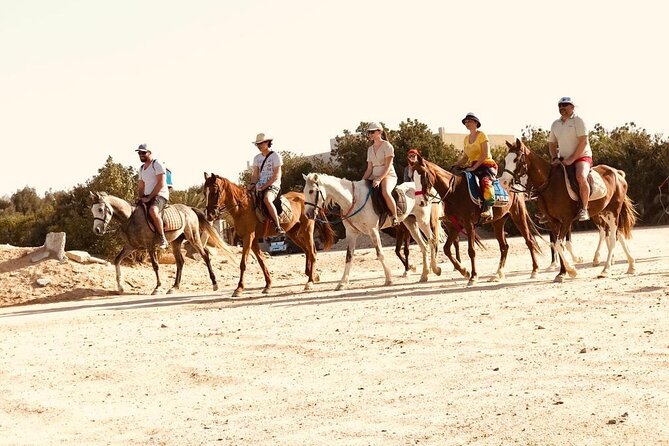 2 Hours Horse Riding on the Sea and Desert- Hurghada - Tour Details
