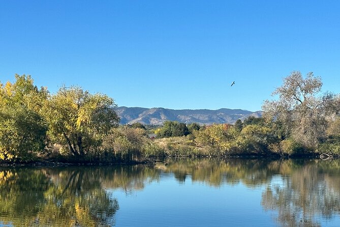 2 Hours of Mindful Bird Watching Near Denver