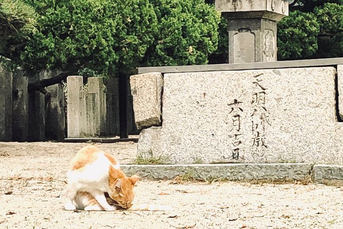 2 Hours Private Guided Walking Tour in Osaka - Tour Overview
