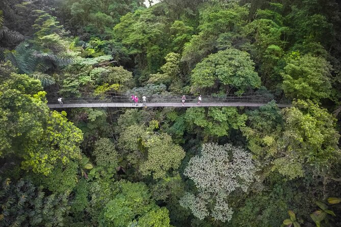 2-in-1 Arenal Combo Tour: Hanging Bridges, La Fortuna Waterfall