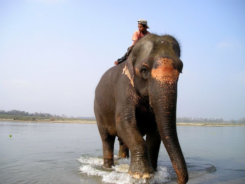 2 Night 3 Days Chitwan Jungle Safari Tour (Full Board) - Tour Overview and Pricing