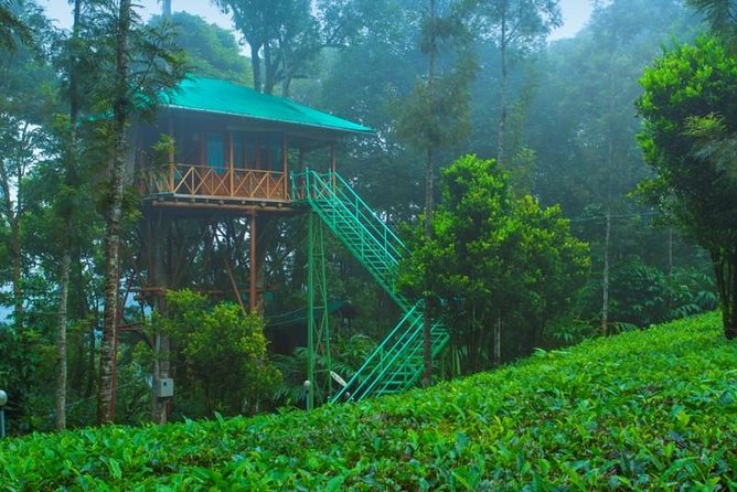 2 Nights Munnar Treehouse Escape With Private Car- Iris Holidays - Inclusions and Transportation