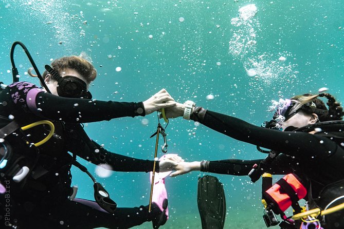 2 or 3 Tank Private SCUBA Diving Charter From Waikiki Hawaii
