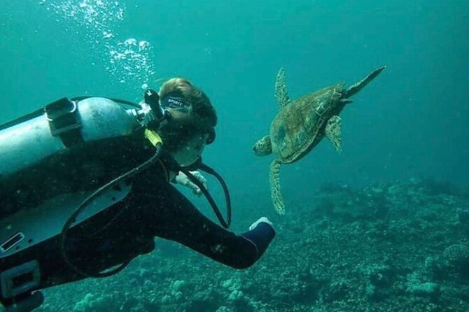 2 Tank Shore Dive at Sea Turtle Cove
