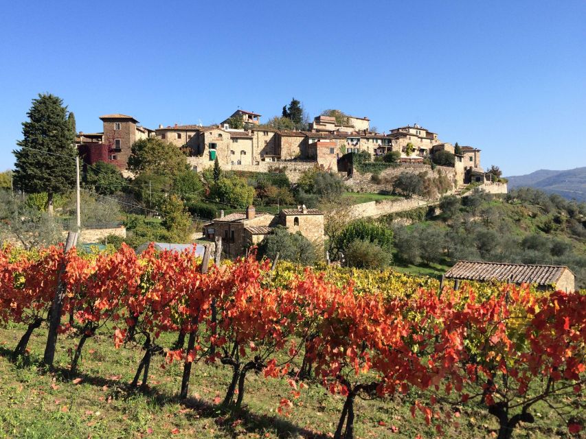 2 Wineries Chianti Wine Tasting Private Tour - Tour Overview
