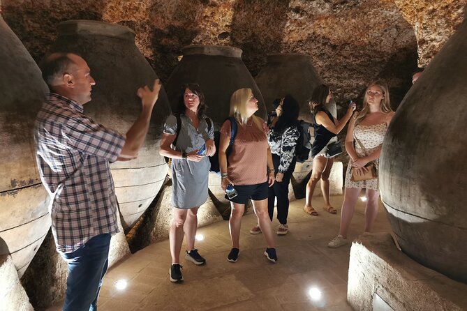 2 Wineries Tasting & Quaint Villages 6 Hours Wine Tour in Madrid - Tour Overview