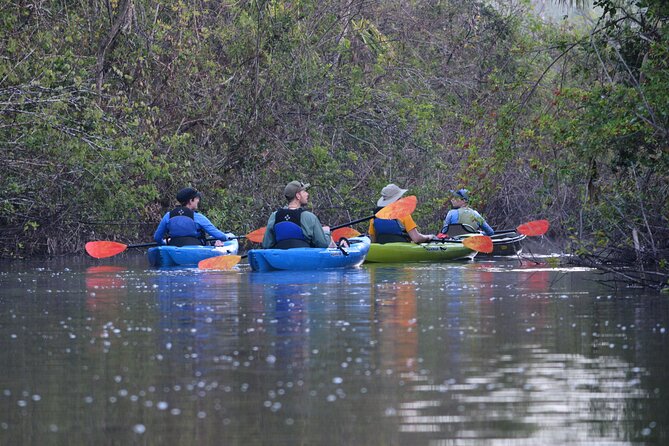 3 Best Safari Tours In Naples