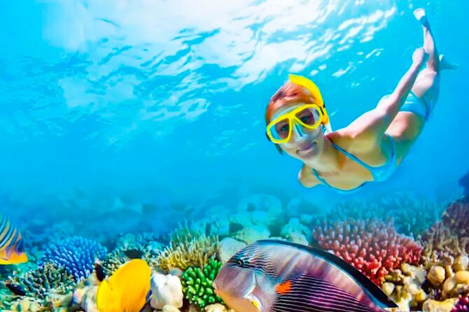 2x1 Tour: Contoy Island, Mujeres Island, Open Bar, Lunch and Transfers