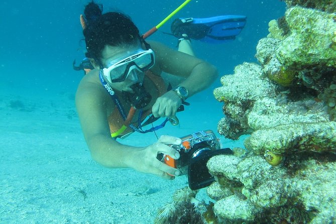 3 ADVENTURES: Sailing Catamaran Cruise - Hooka Diving - Snorkeling - Tour Highlights