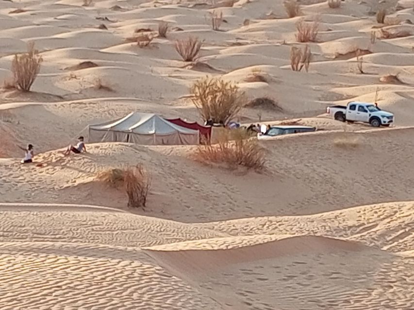 3 D Sahara Discovery