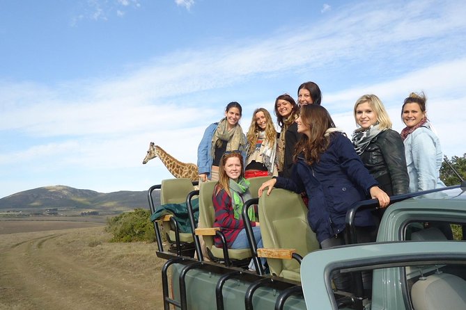 3 Day Big 5 and Bungee Tour - Garden Route Small Group Tour From Cape Town