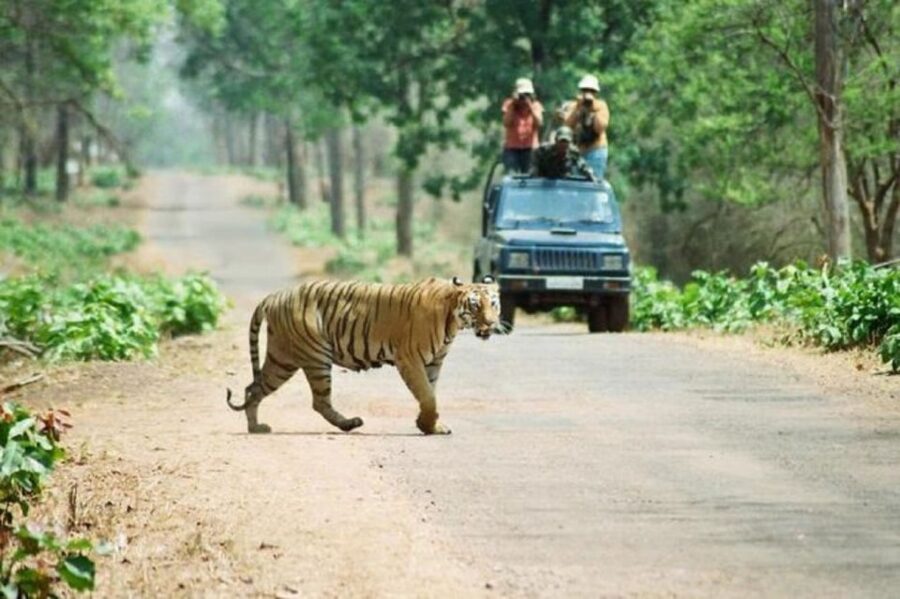 3-Day Chitwan Jungle Safari Adventure From Kathmandu/Pokhara - Overview of the Safari Adventure