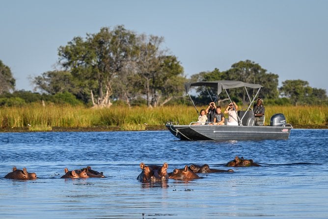 3-Day Chobe National Park Camping Safari From Victoria Falls