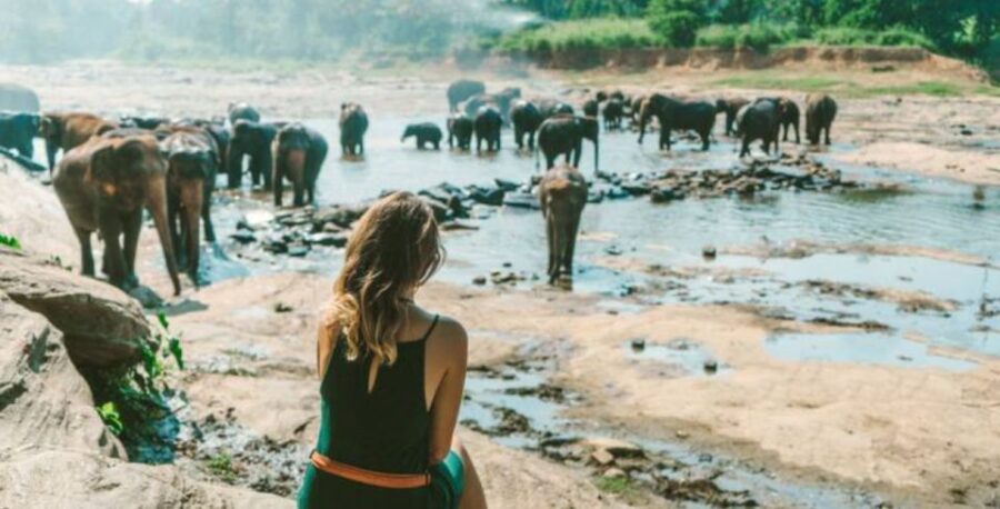 3-Day Glimpse of Sri Lanka Private Tour